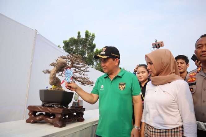 
					Wali Kota Buka Pameran dan Kontes Bonsai, Rangkaian Festival Bukit Sulap