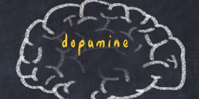 
					Fungsi Dopamin bagi Tubuh: Hormon Penting dalam Keseimbangan Emosi dan Gerakan