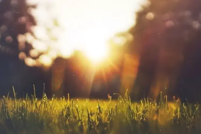 
					7 Manfaat Sinar Matahari Pagi Bagi Kehidupan
