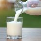 bolehkah meminum susu setelah minum obat?
