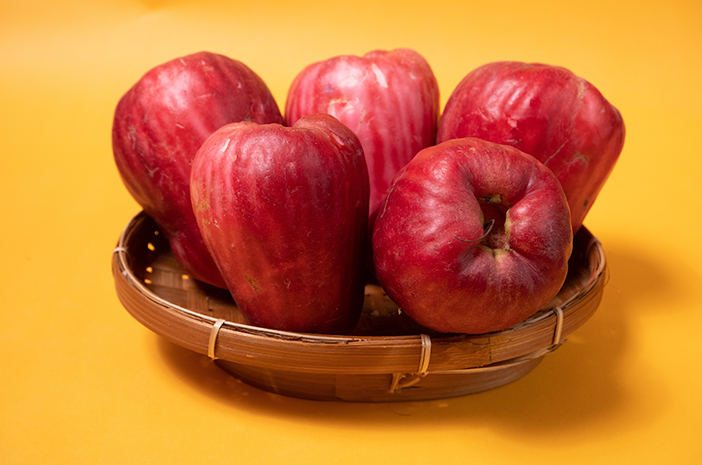 choose to focus on jambu bol or jambu jamaica this fruit is included in the type of guava, often also called the malay red rose apple