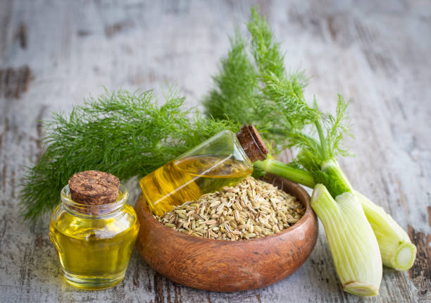 Fennel oil and fennel seeds